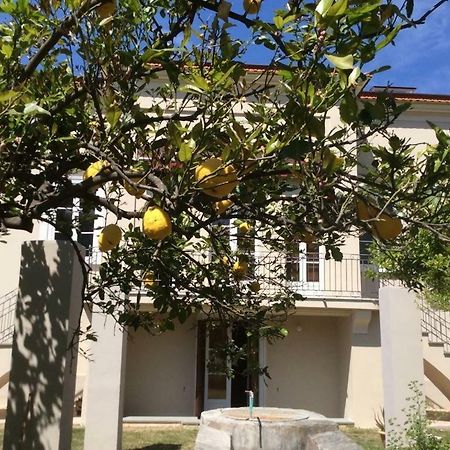 Villa Caterina Sapri Exteriér fotografie