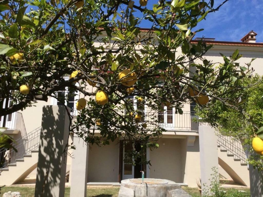 Villa Caterina Sapri Exteriér fotografie